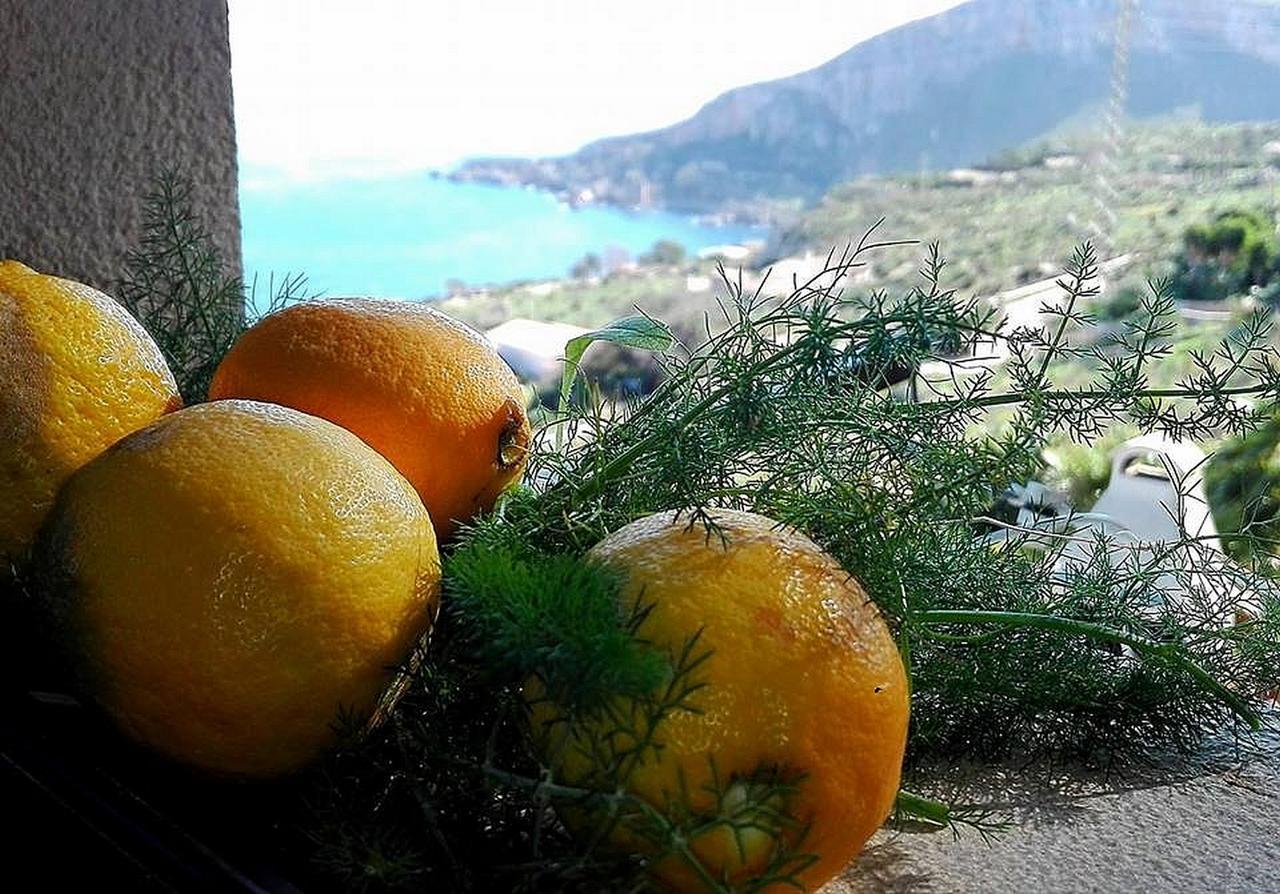 Villa Costa Sauci San Vito Lo Capo Extérieur photo